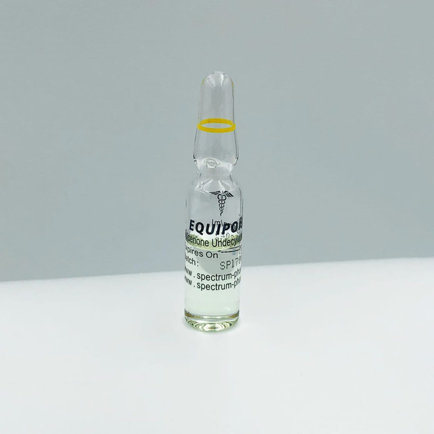 EQUIPOISE