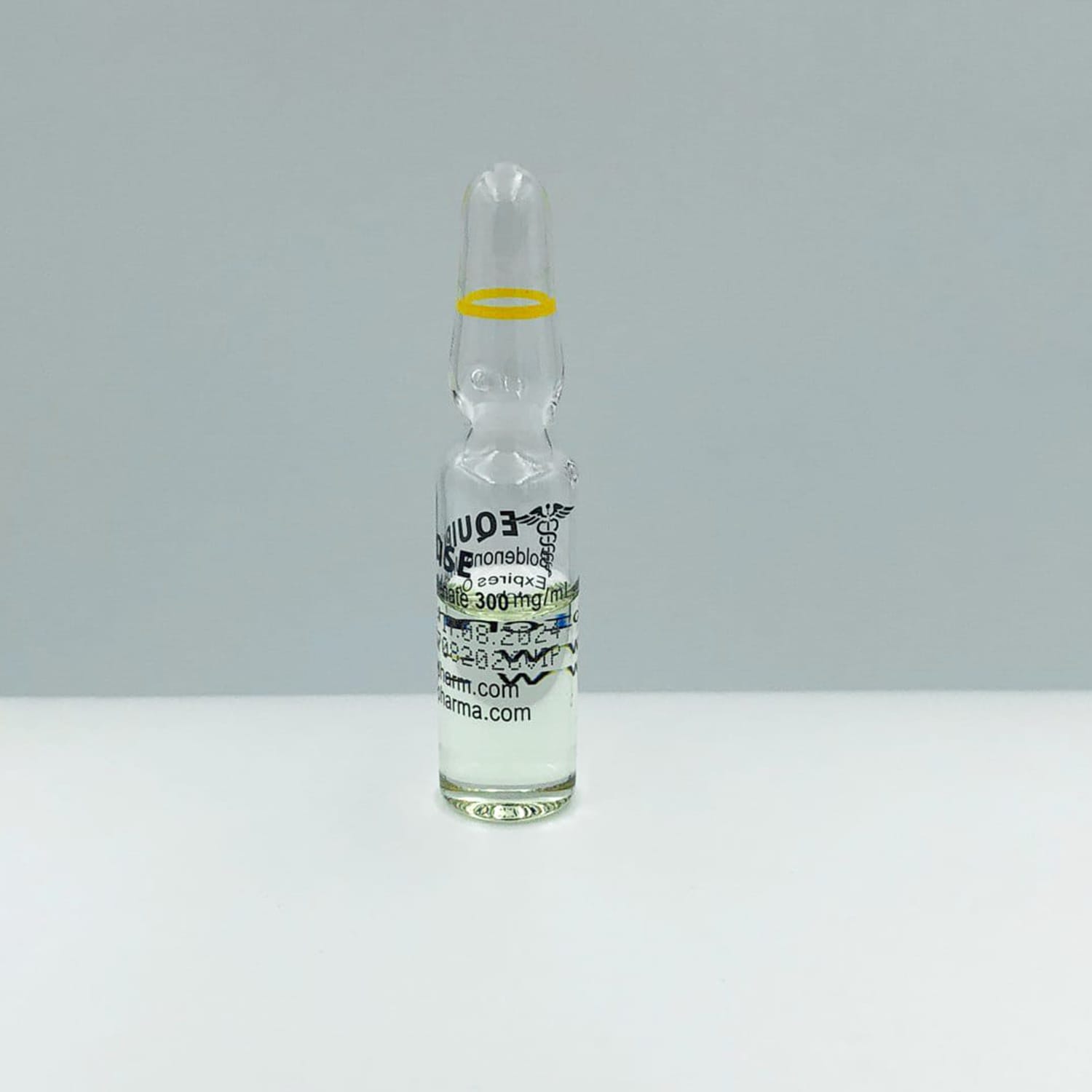 EQUIPOISE